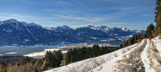 januar 2016