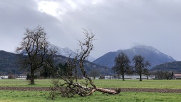Stürmischer Februar 2020